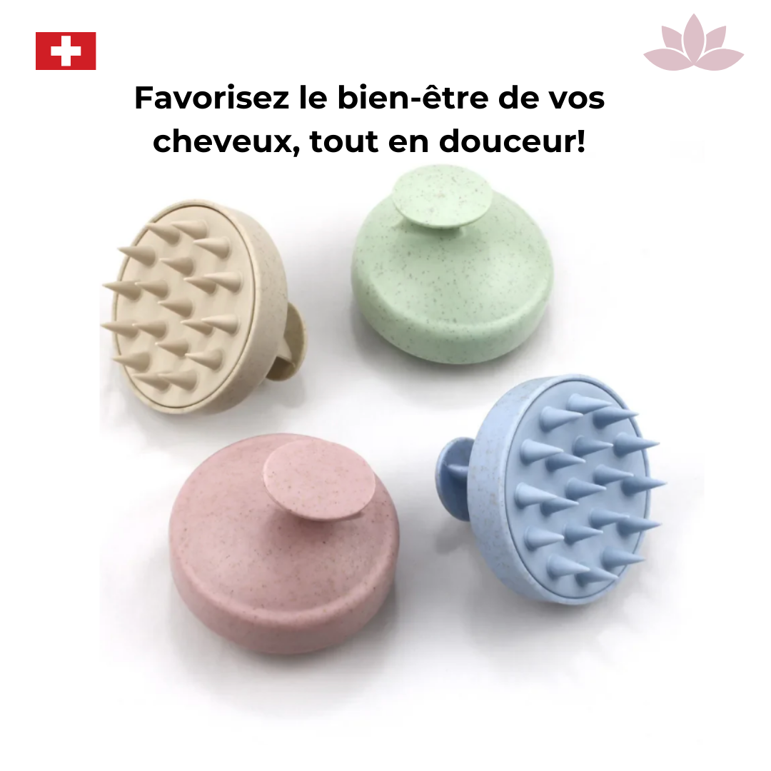 Brosse de Massage Capillaire