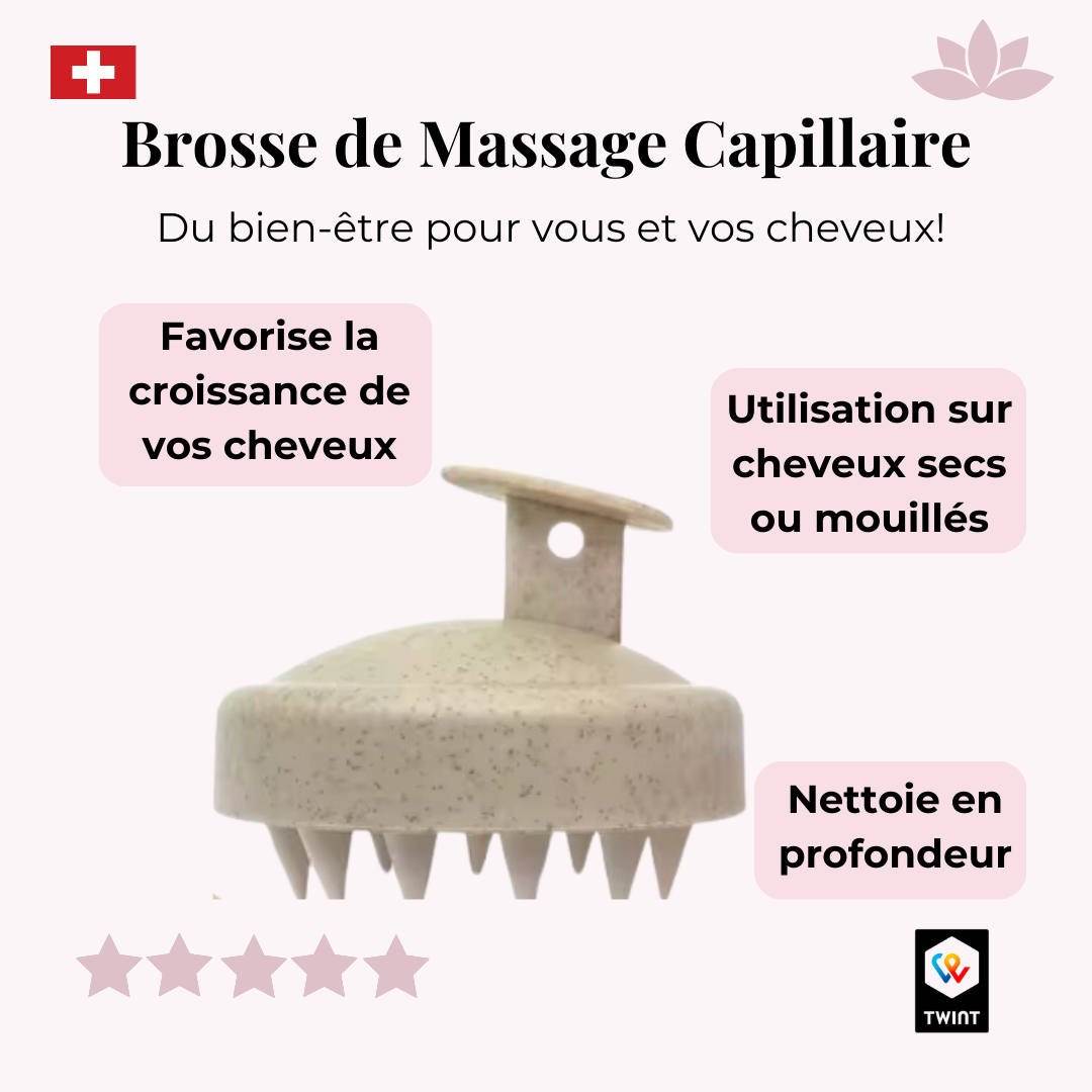 Brosse de Massage Capillaire